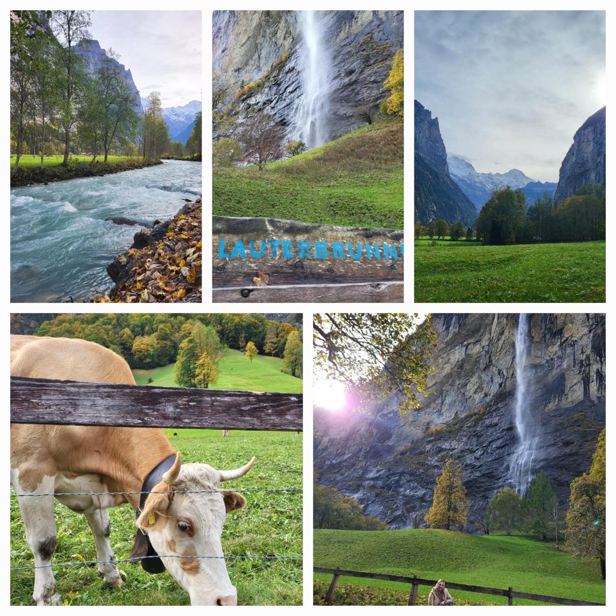 Ferienwohnung Sonnenseite Brienz Brienz  Eksteriør billede